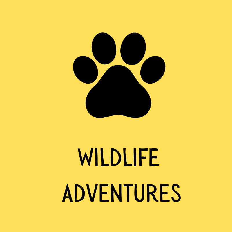 Wildlife Adventures